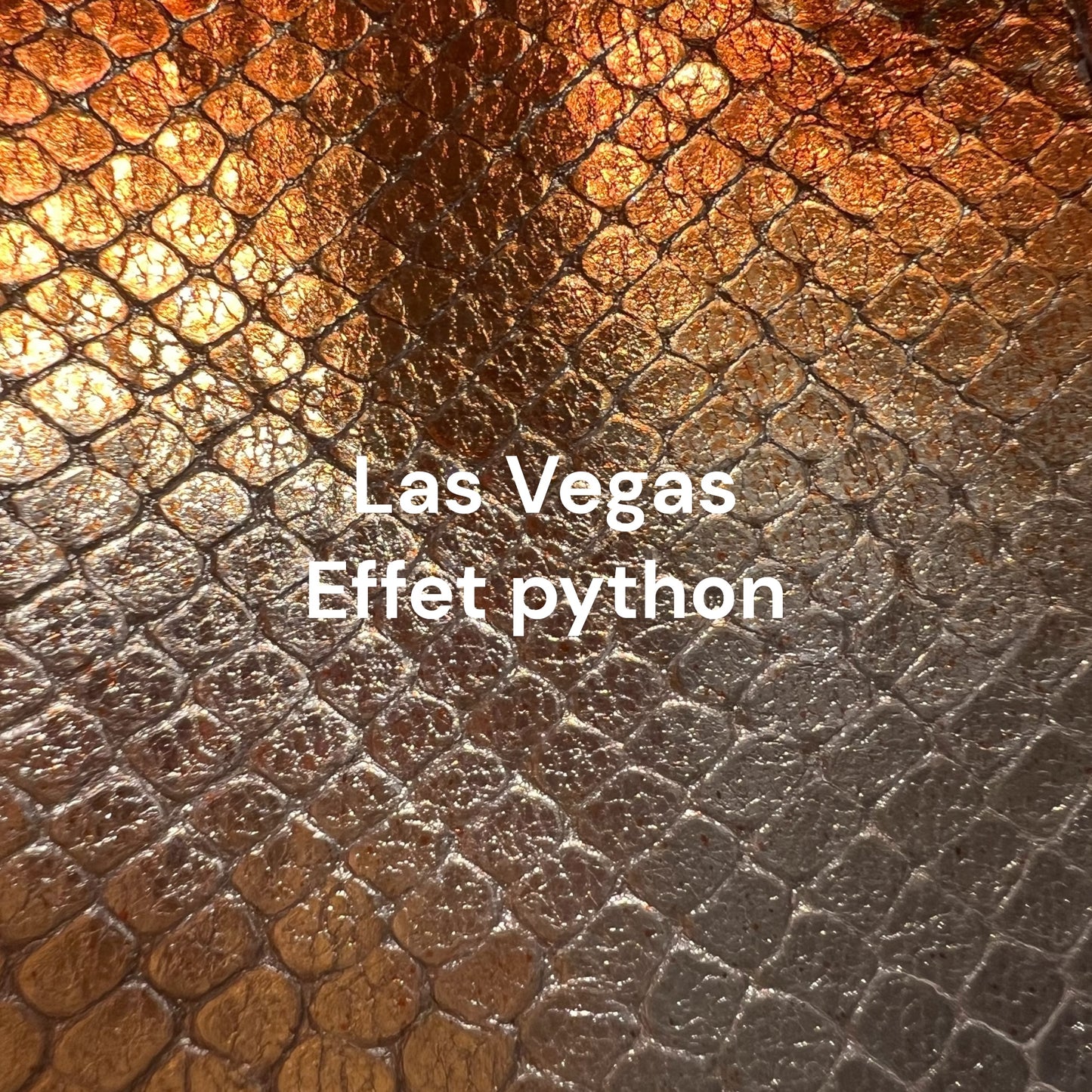 objets en cuir effet python