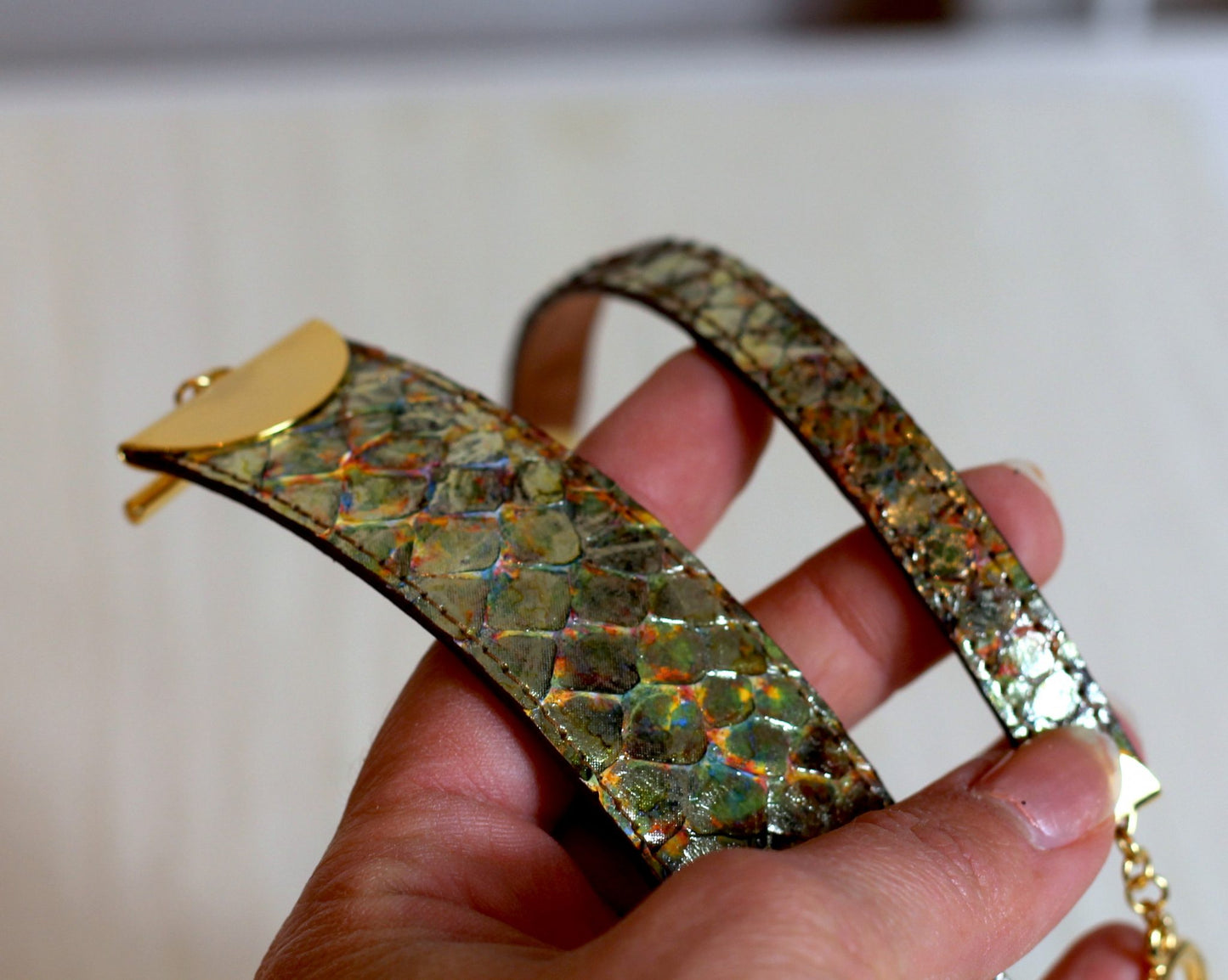 manchette manegane en python multicolore