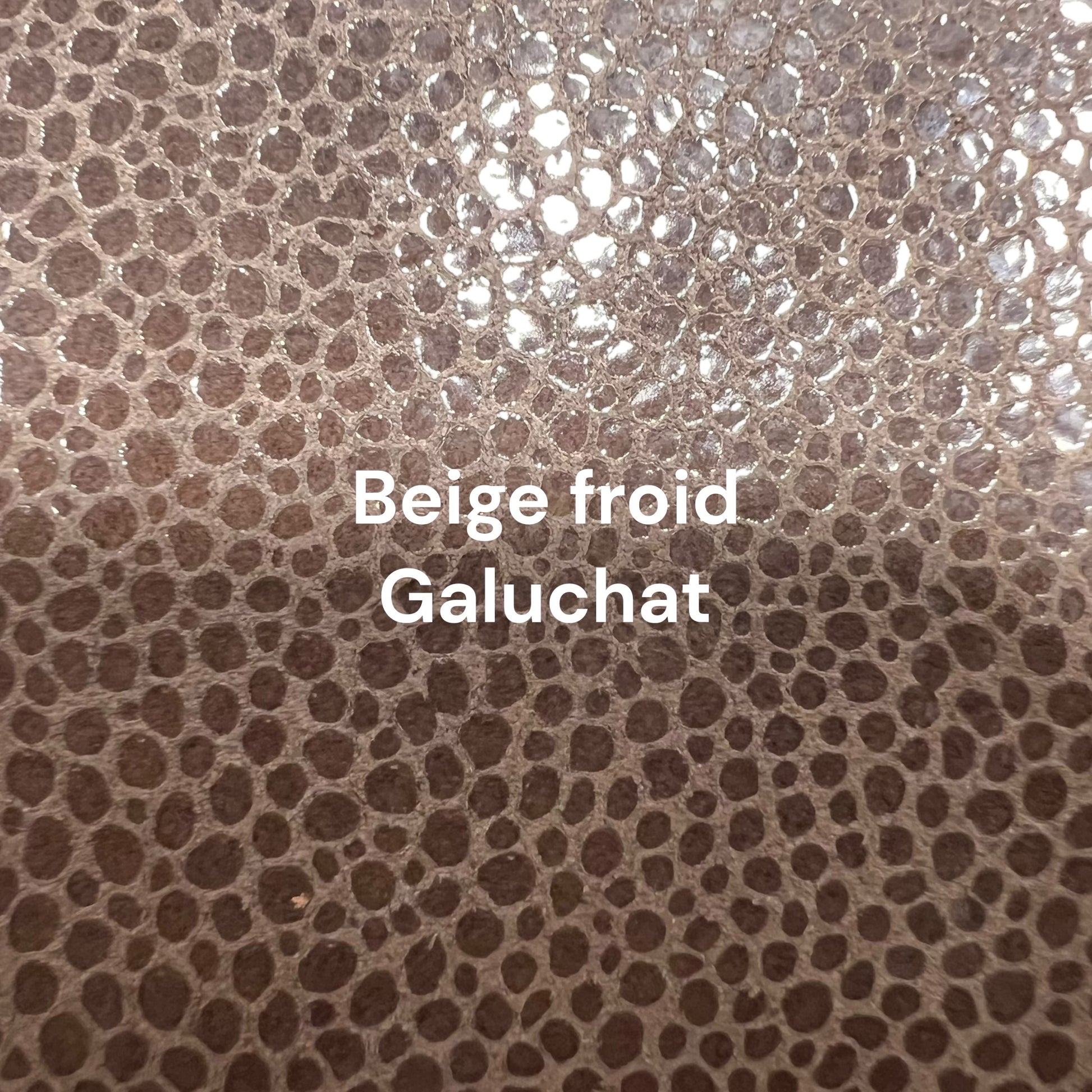 maroquinerie galuchat beige