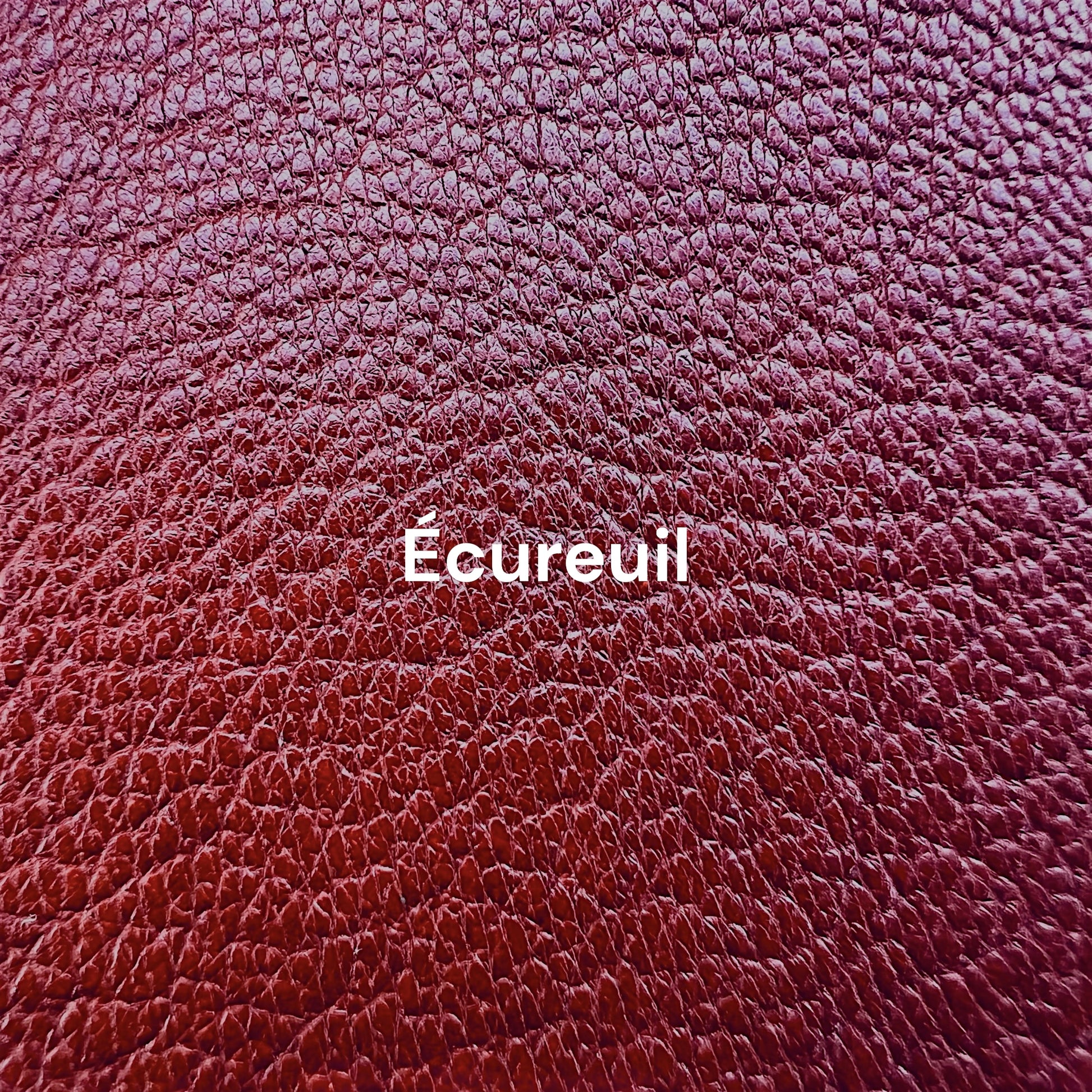 cuir pour carnet marron rouge