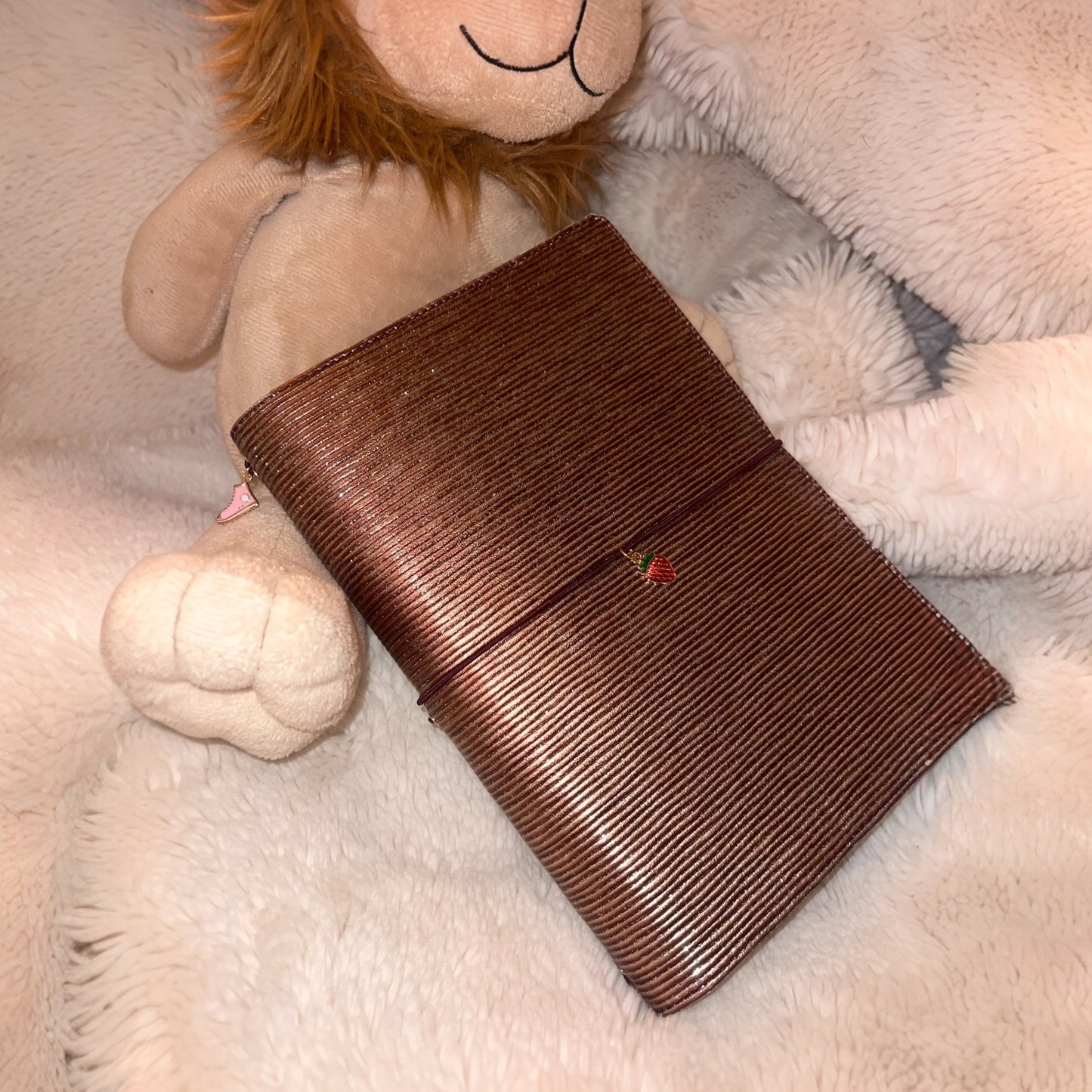 Carnet en cuir brillant pour carnet de santé 